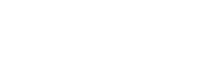 The Tulum Times
